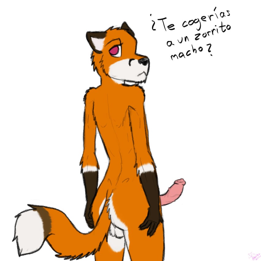 absurd_res anthro ass bluedmoka canid canine fox genitals hi_res knot male mammal penis solo