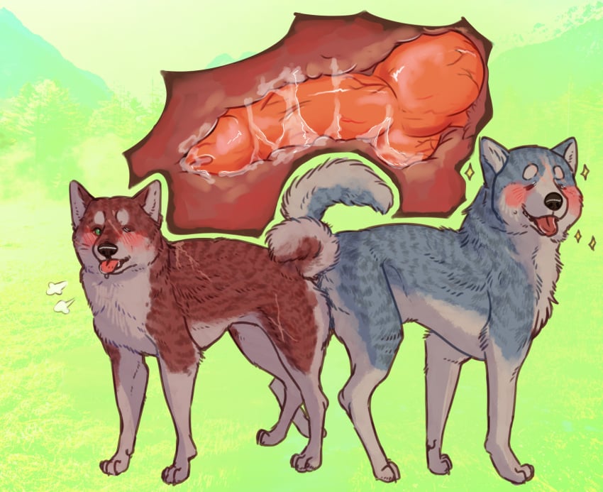 akita akita_inu ambiguous_gender anatomically_correct anatomically_correct_genitalia animal_genitalia animal_penis bodily_fluids canid canine canine_penis canis coronella cum cum_inside cum_on_penis domestic_dog duo ejaculation feral genital_fluids genitals gin_(ginga) ginga_densetsu_weed ginga_nagareboshi_gin hi_res kai_ken knot knotting male male/ambiguous mammal penis spitz