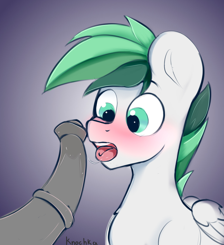 absurd_res ambiguous_gender animal_genitalia animal_penis blush bodily_fluids dreamer_skies_(oc) equid equine equine_penis fan_character feral genitals green_eyes green_hair hair hasbro hi_res knochka male mammal medial_ring multicolored_hair my_little_pony pegasus penis saliva saliva_on_penis saliva_string teeth_showing tongue tongue_out two_tone_hair white_body white_wings wings