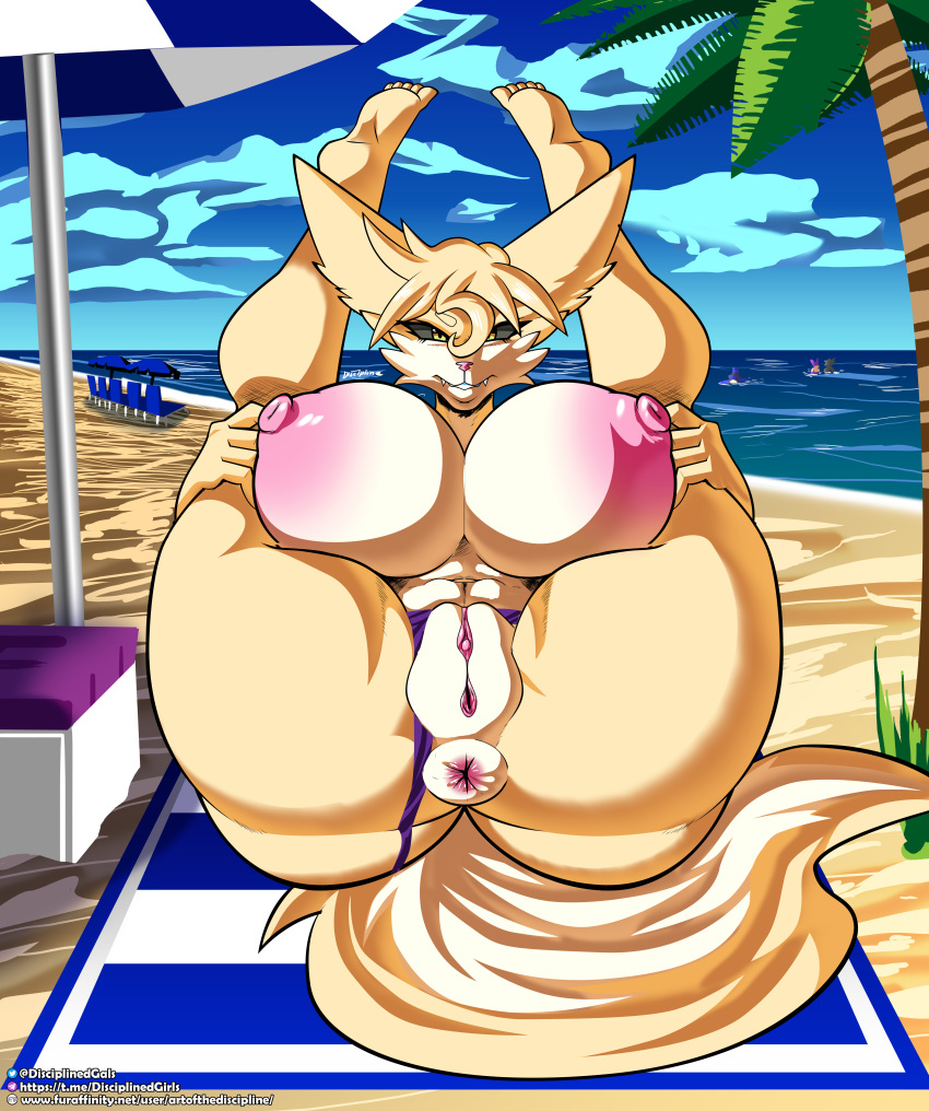 absurd_res anthro anus areola artofthediscipline beach big_breasts breasts canid canine clothing female fennec fox fur furry furry_only genitals hi_res holding_legs_up huge_breasts large_breasts mammal nipples pink_areola pink_nipples plump_labia presenting presenting_anus presenting_pussy puffy_anus puffy_nipples pussy seaside solo tail thick_thighs