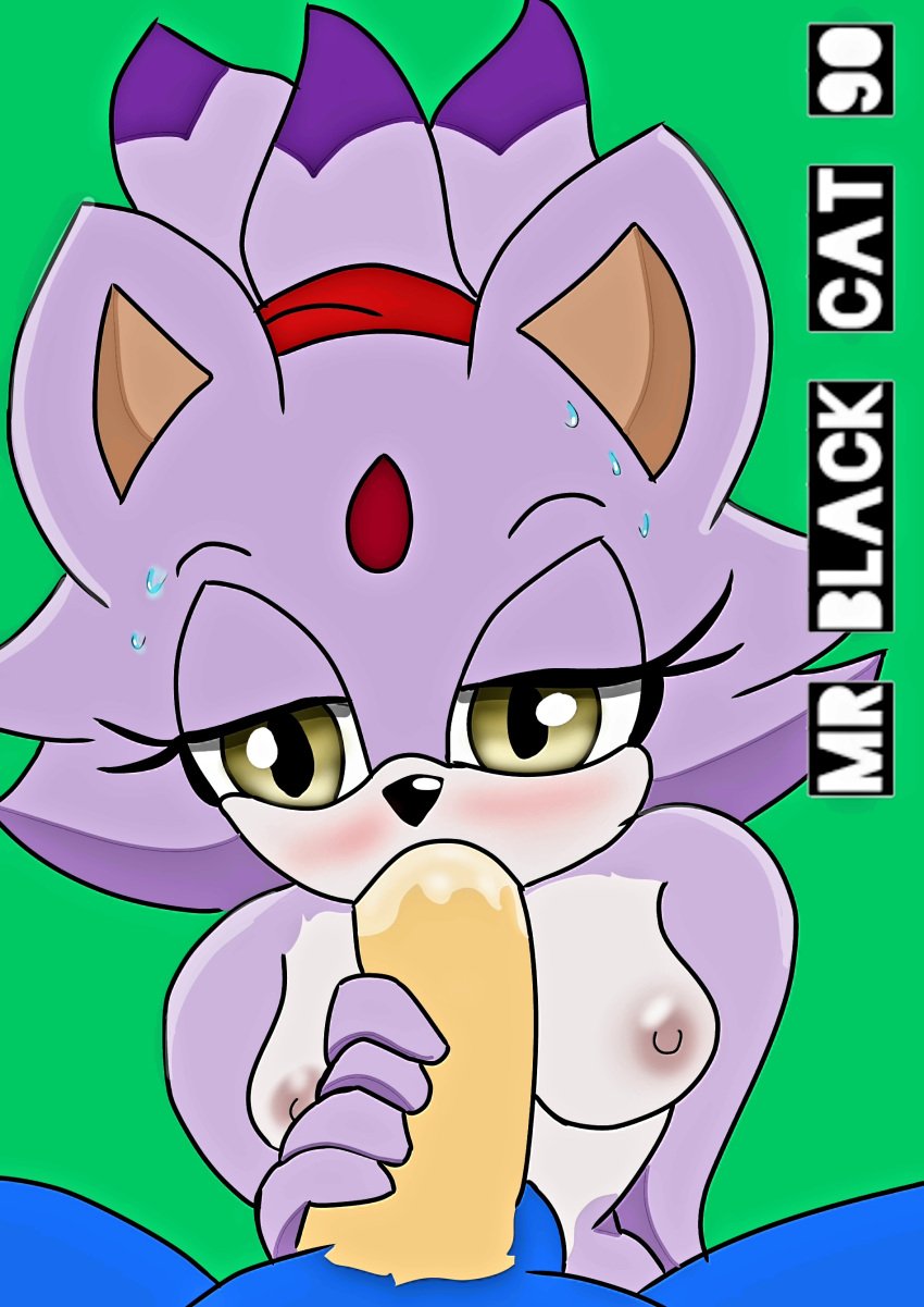 blaze_the_cat female mamada mrblackcat901 penis sonic_(series) sonic_the_hedgehog sonic_the_hedgehog_(series)