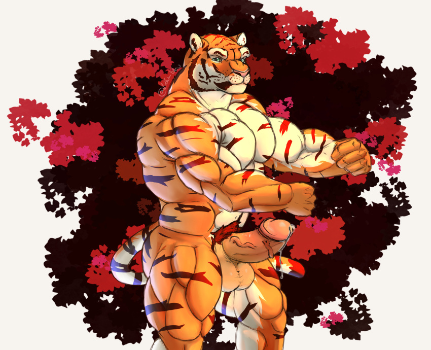 anthro balls big_balls big_muscles big_pecs big_penis black_body black_fur bodily_fluids chinese_new_year chinese_zodiac felid feline flexing flexing_bicep flexing_pec fur genital_fluids genitals hi_res leaking_precum lotu_bleu male mammal muscular orange_body orange_fur pantherine pecs penis precum siberian_tiger simple_background solo thick_penis thick_thighs tiger vein veiny_penis white_body white_fur