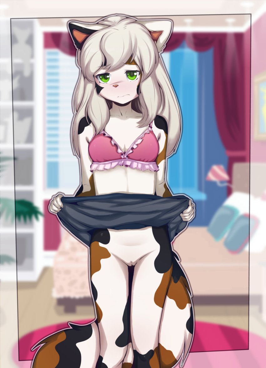 2022 anthro bed blurred_background bra clothed clothing clothing_lift digital_media_(artwork) domestic_cat felid feline felis female fingers front_view fur furniture genitals green_eyes hair hi_res inside long_hair looking_at_viewer mammal pussy sicmop solo teenager underwear young