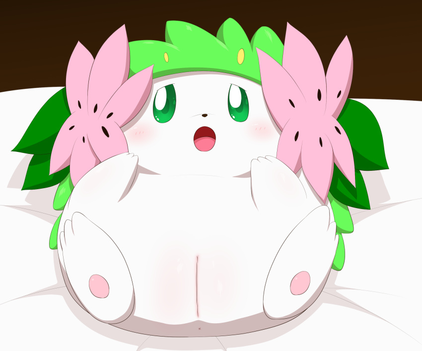 anus bed blush female feral fur furniture furry furry_only genitals hi_res land_forme_shaymin legendary_pokemon lying minami_(artist) nintendo on_back on_bed pok&eacute;mon_(species) pokemon pokemon_(species) presenting presenting_pussy pussy shaymin solo video_games