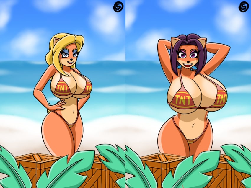 2girls anthro armpits arms_behind_head big_breasts bikini breasts busty crash_(series) furry huge_breasts isabella_bandicoot large_breasts large_penis liz_bandicoot pose posung sensual smile valerya5