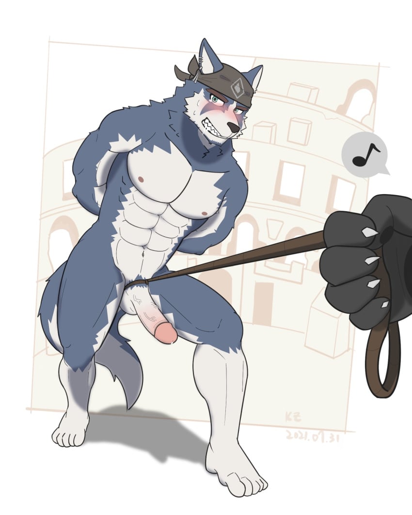 abs anthro bandana bandanna_only biceps biped black_nose blue_eyes blush brown_eyebrows canid canine canis claws clenched_teeth coliseum domestic_dog ear_piercing ear_ring erection eyebrows fur furry genitals glans grey_body grey_fur grey_pubes grey_tail highres humanoid_genitalia humanoid_hands humanoid_penis husky kemo_coliseum kerchief kerchief_only kzwolf4 male mammal multicolored_body multicolored_fur muscular muscular_anthro muscular_male navel nipples nordic_sled_dog nude pecs penis piercing red_glans spitz teeth testicles thick_eyebrows triceps two_tone_body two_tone_fur two_tone_tail volga white_fur white_tail white_testicles