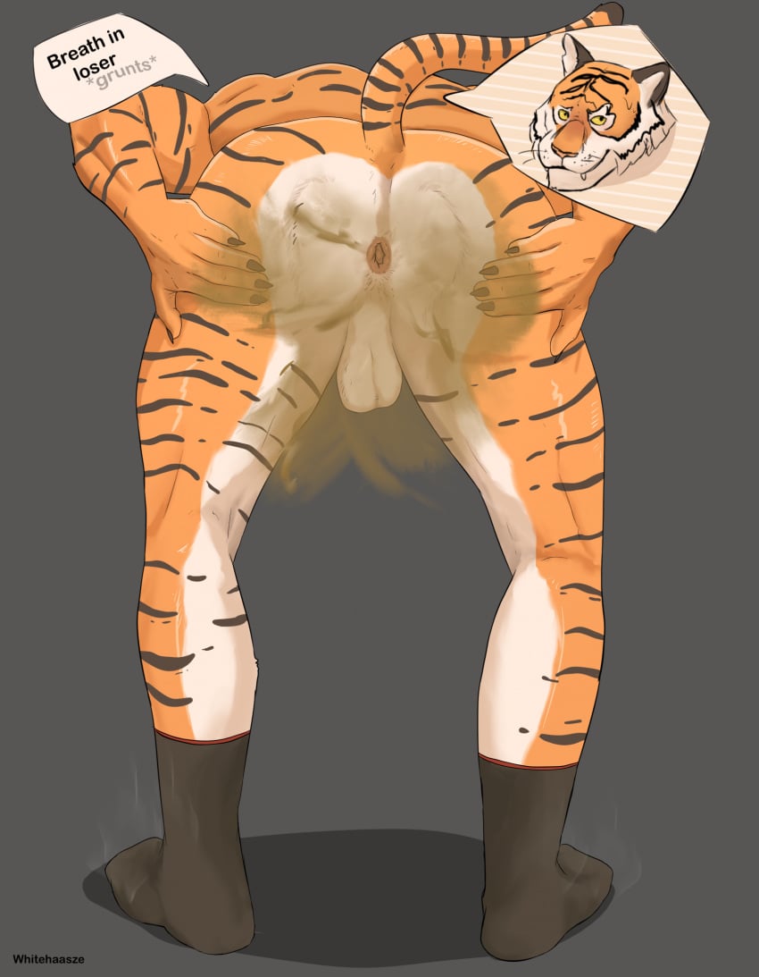 anthro anus ass bodily_fluids claws command crouching epic_games fart fart_fetish farting_at_viewer felid fortnite gassy hi_res male mammal musk nude oscar_(fortnite) pantherine presenting presenting_anus presenting_hindquarters raised_tail smelly solo speech_bubble spread_anus spread_butt spreading sweat tail tiger whitehaasze