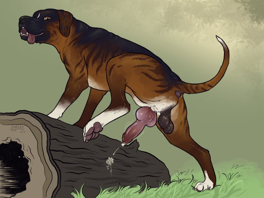 anatomically_correct anatomically_correct_anus anatomically_correct_genitalia anatomically_correct_penis animal_genitalia animal_penis anus ass backsack balls black_balls black_body black_fur black_nose bodily_fluids brown_body brown_fur cane_corso canid canine canine_genitalia canine_penis canis claws cum cum_drip cumshot digitigrade domestic_dog dripping ejaculation erection feral floppy_ears fur genital_fluids genitals grass hi_res hindpaw knot log looking_at_viewer looking_back low-angle_view male mammal markings mastiff molosser multicolored_body multicolored_fur one_leg_up open_mouth outside paws penis perineum plant presenting presenting_hindquarters presenting_penis quadruped raised_leg raised_tail realistic_feral saggy_balls simple_background sketchy_shelby smile solo tail tail_markings teeth toe_claws tongue tongue_out white_body white_fur wood