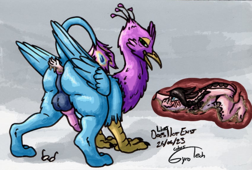 anal anal_vore anthro anthro_prey avian avian_feet balls beak bird blue_body doesnotexist feathered_crest feathered_wings feathers female female_prey feral feral_pred galliform genitals green_eyes gryphon guts gyro_feather gyrotech head_crest hi_res internal intestines knot kobold male male_pred mythological_avian mythological_creature mythology organs paws peafowl penis phasianid pink_body quadruped tail tail_tuft tuft vore wings