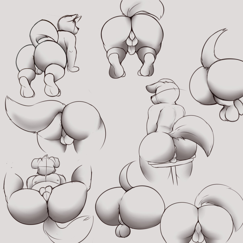 anthro ass balls canid canine deancrazz faceless_character genitals hi_res male mammal penis presenting presenting_hindquarters sketch solo