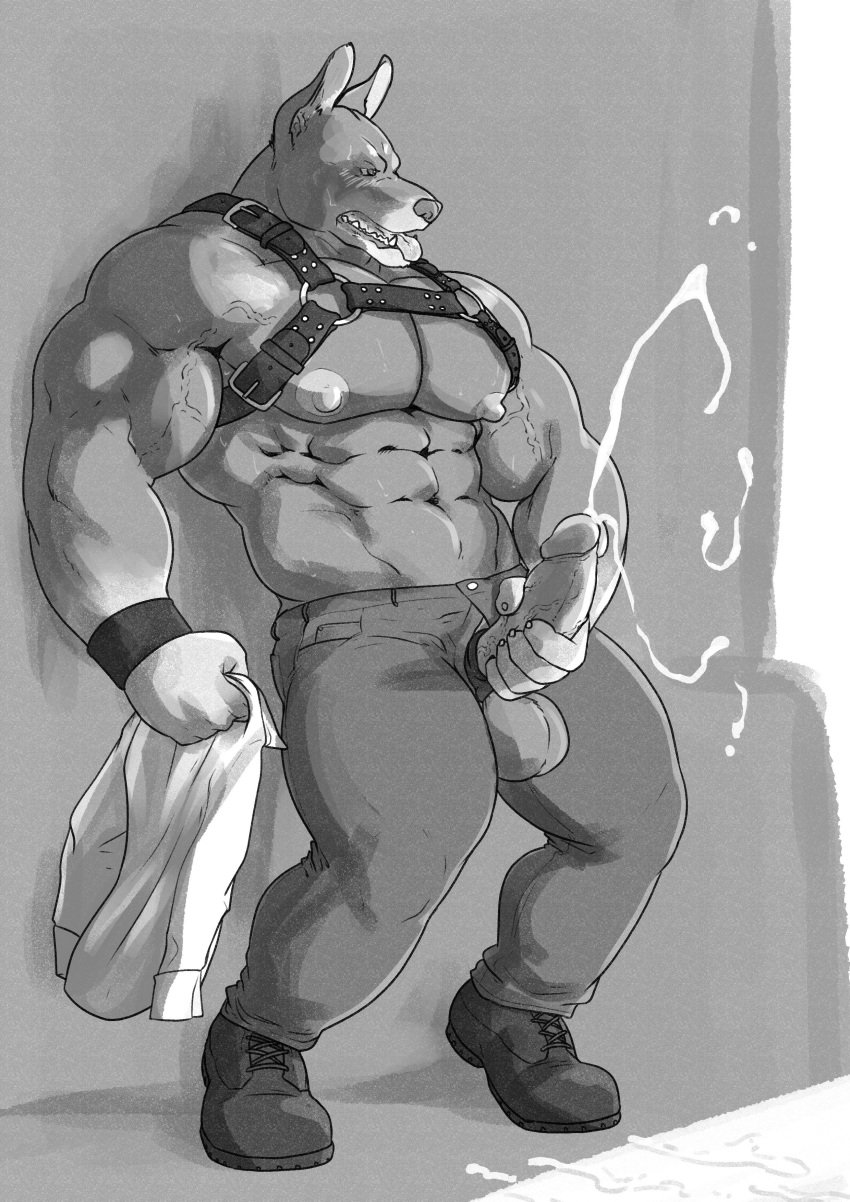 abs absurd_res anthro balls biceps big_muscles bodily_fluids canid canine canis cum cum_on_ground cumshot dobermann domestic_dog ejaculation erection genital_fluids genitals grisser harness hi_res humanoid_genitalia humanoid_penis male mammal masturbation monochrome muscular muscular_anthro muscular_male nipples pecs penile penile_masturbation penis pinscher solo tongue tongue_out vein veiny_penis