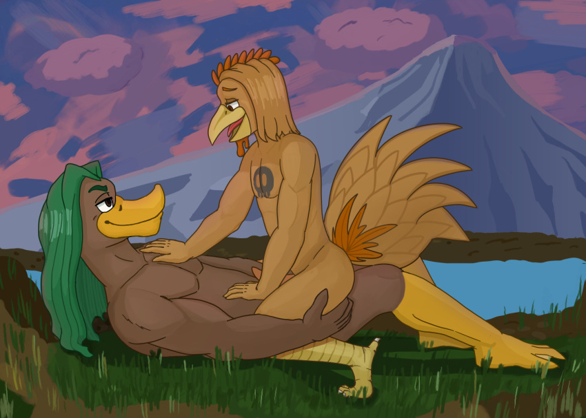 anatid anseriform anthro avian bird chicken duck duo galliform gallus_(genus) gay grass lewd_latte male male/male mountain on_bottom on_top outside outside_sex phalanx phasianid plant reverse_cowgirl_position sex smile smirk