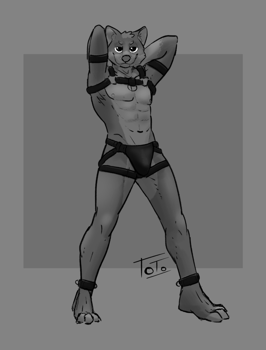 absurd_res anthro barefoot canid canine clothing cuff_(restraint) feet greyscale hi_res jockstrap leather_cuffs leather_gear leather_jockstrap looking_at_viewer male mammal monochrome restraints simple_background smug solo solo_focus totobun underwear unfinished