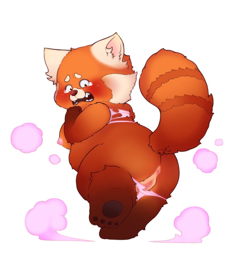 ailurid anthro anus bodily_fluids breasts clothing disney female genitals hi_res looking_back mammal mei_lee nipples notama open_mouth pixar pussy rear_view red_panda scared solo tears teeth turning_red underwear white_background