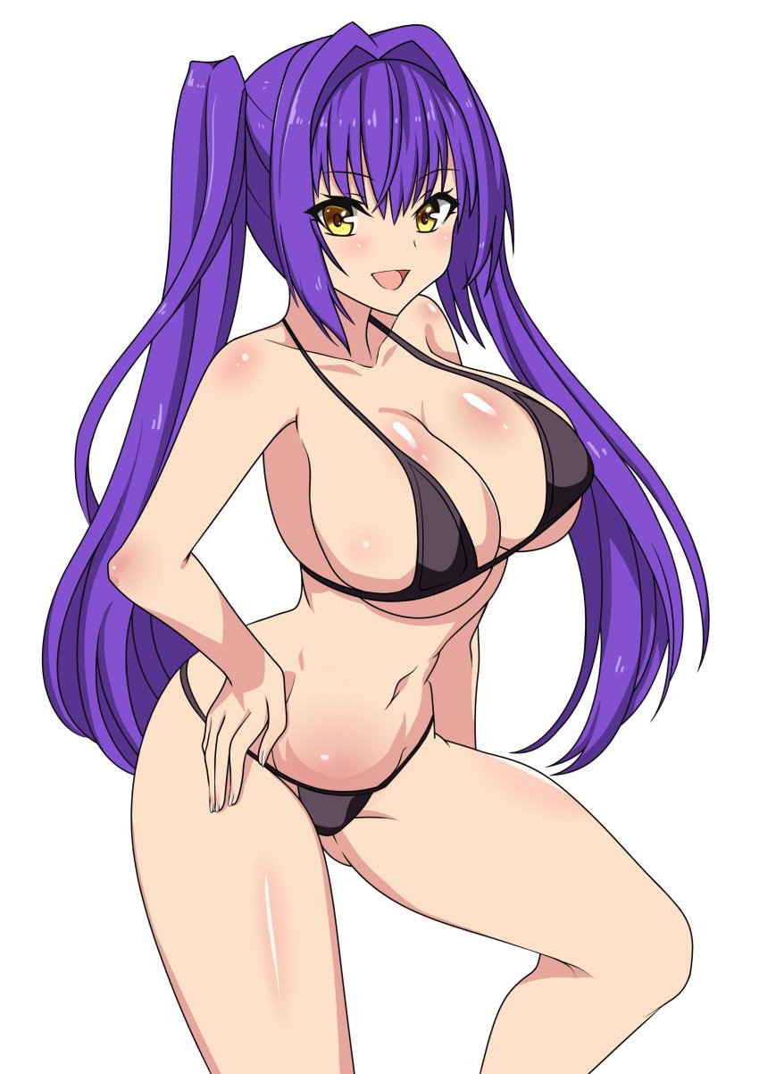 absurdres bikini black_bikini breasts cowboy_shot dj_fastum female female hair_intakes hand_on_hip highres large_breasts long_hair looking_at_viewer micro_bikini navel original purple_hair simple_background smile solo standing swimsuit tachi-e white_background yellow_eyes