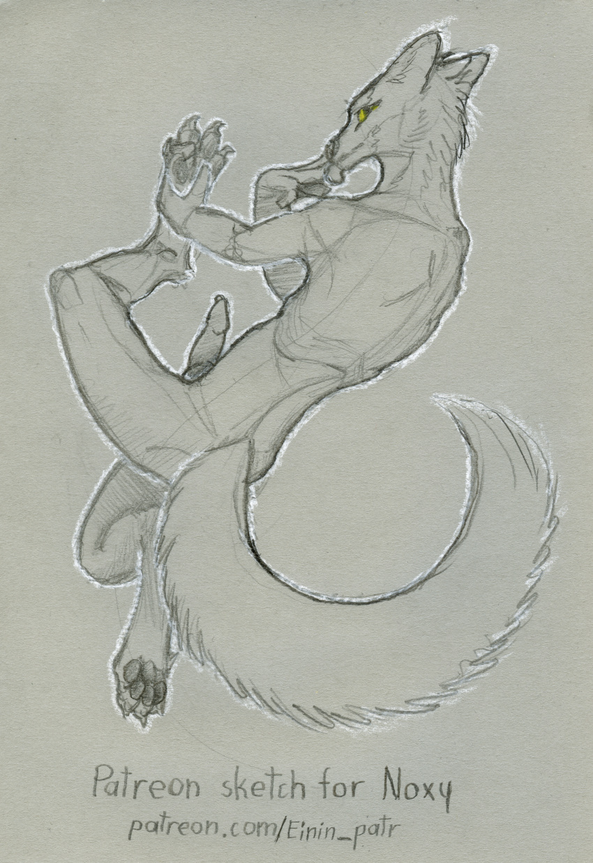Noxy (Dhole) Rule 34 Image