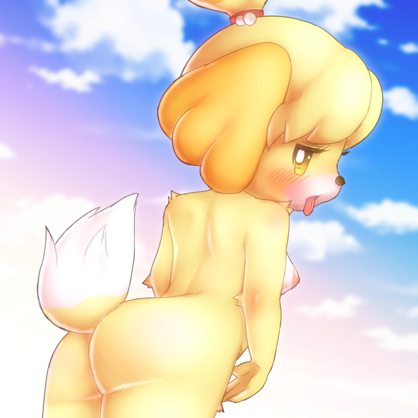 animal_crossing anthro areola bedroom_eyes blush breasts bunnag canid canine canis cloud domestic_dog female fur hi_res isabelle_(animal_crossing) looking_back low-angle_view mammal narrowed_eyes nintendo nipples nude seductive shih_tzu side_boob sky sky_background smooth_fur solo tongue tongue_out toy_dog video_games white_body white_fur yellow_body yellow_eyes yellow_fur