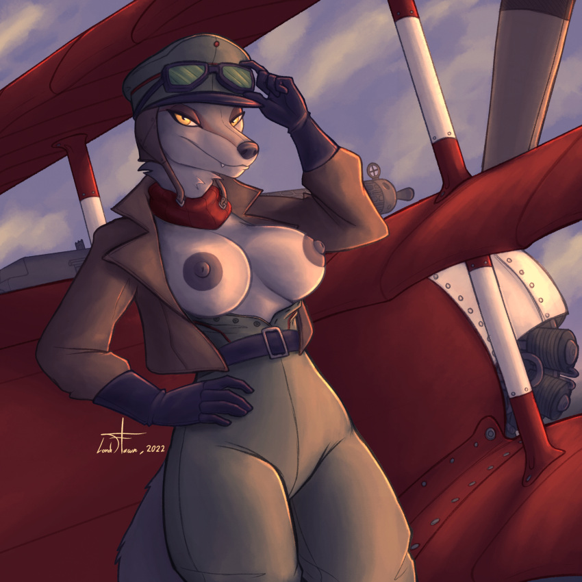 absurd_res aircraft airplane anthro areola big_breasts big_nipples biplane breastless_clothes breastless_clothing breasts canid canine canis casual casual_nudity clothed clothing cloud dark_nipples detailed_background eyewear female fur gloves goggles goggles_on_headwear grey_body grey_fur gun hand_on_hip handwear hat headgear headwear hi_res jacket looking_at_viewer lordflawn machine_gun mammal military_cap military_uniform nipples nonsexual_nudity open_clothing open_shirt open_topwear outside partially_clothed pilot ranged_weapon scarf shirt signature sky standing topwear uniform weapon wolf world_war_1 yellow_eyes