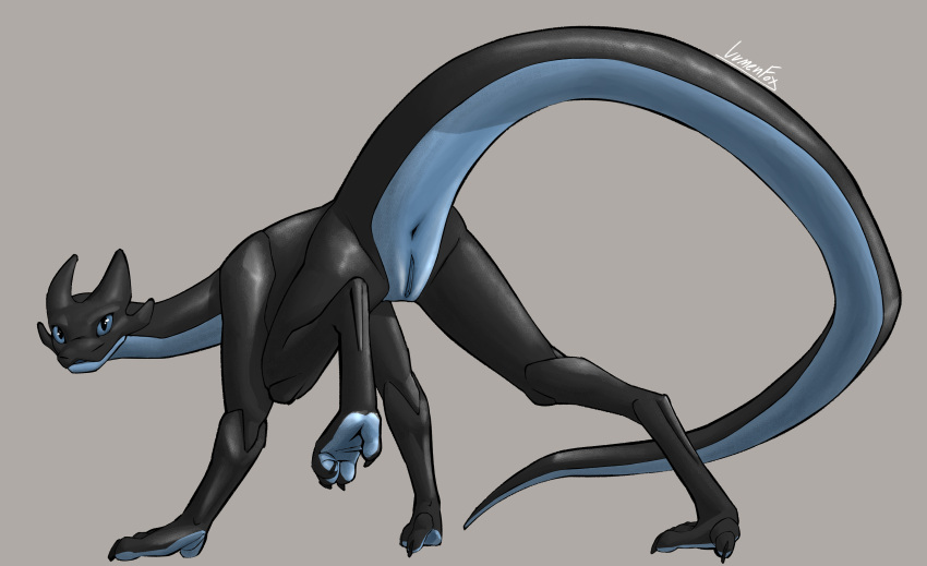 4_legs 4_toes absurd_res anus ass black_body black_scales blue_body blue_eyes blue_scales claws countershading digital_drawing_(artwork) digital_media_(artwork) digitigrade dragon feet female feral genitals hi_res looking_at_viewer looking_back looking_back_at_viewer lumen_fox nude paws presenting presenting_anus presenting_hindquarters presenting_pussy pupils pussy quadruped raised_leg raised_tail scales scalie signature simple_background slit_pupils solo spread_legs spreading toes