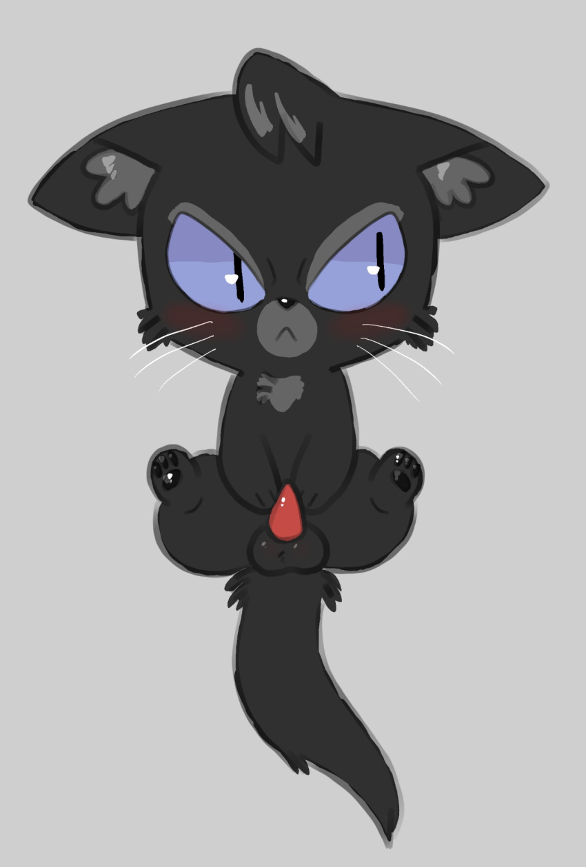 balls blush catboyjail crowfeather_(warriors) cub digital_media_(artwork) domestic_cat felid feline felis feral genitals hi_res male male_only mammal penis solo warriors_(cats) young