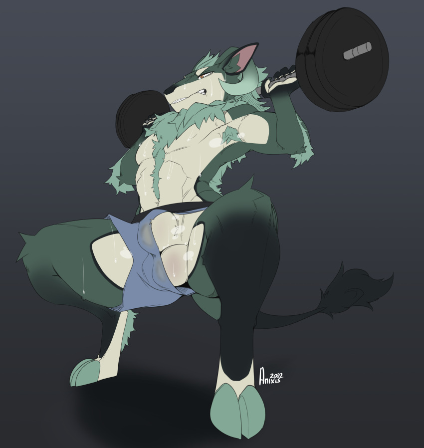 absurd_res animal_genitalia anixis anthro balls bodily_fluids bottomwear bulge clothing conditional_dnp digital_media_(artwork) dragon ekewaka exercise fur genitals hair hi_res hooves horn male musk peeping sheath shorts simple_background solo sweat tail_tuft tuft weights workout