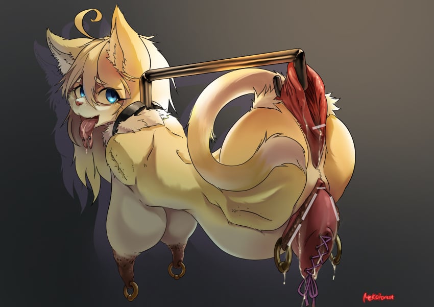 absurd_res ahoge amputee anal_piercing anal_prolapse anthro anus big_breasts blonde_hair blue_eyes bondage bound breasts censored cervix_piercing collar disability dripping felid feline female forked_tongue gaping gaping_anus genital_piercing genitals hair hanging_belly hi_res inner_ear_fluff labia_piercing long_hair long_nipples looking_back mammal neck_tuft nekoforest nipples open_mouth piercing prolapse pussy pussy_piercing quadruple_amputee scar signature simple_background solo tail_tuft tongue tongue_out tongue_piercing tuft uterine_prolapse white_body yellow_body