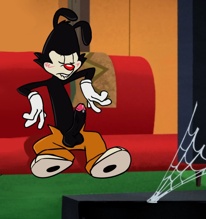 animaniacs animaniacs_(2020) anthro balls bodily_fluids bottomwear clothing erection furniture genital_fluids genitals gloves handwear hi_res james_murray male nude pants paws penis precum sofa solo toony warner_brothers yakko_warner