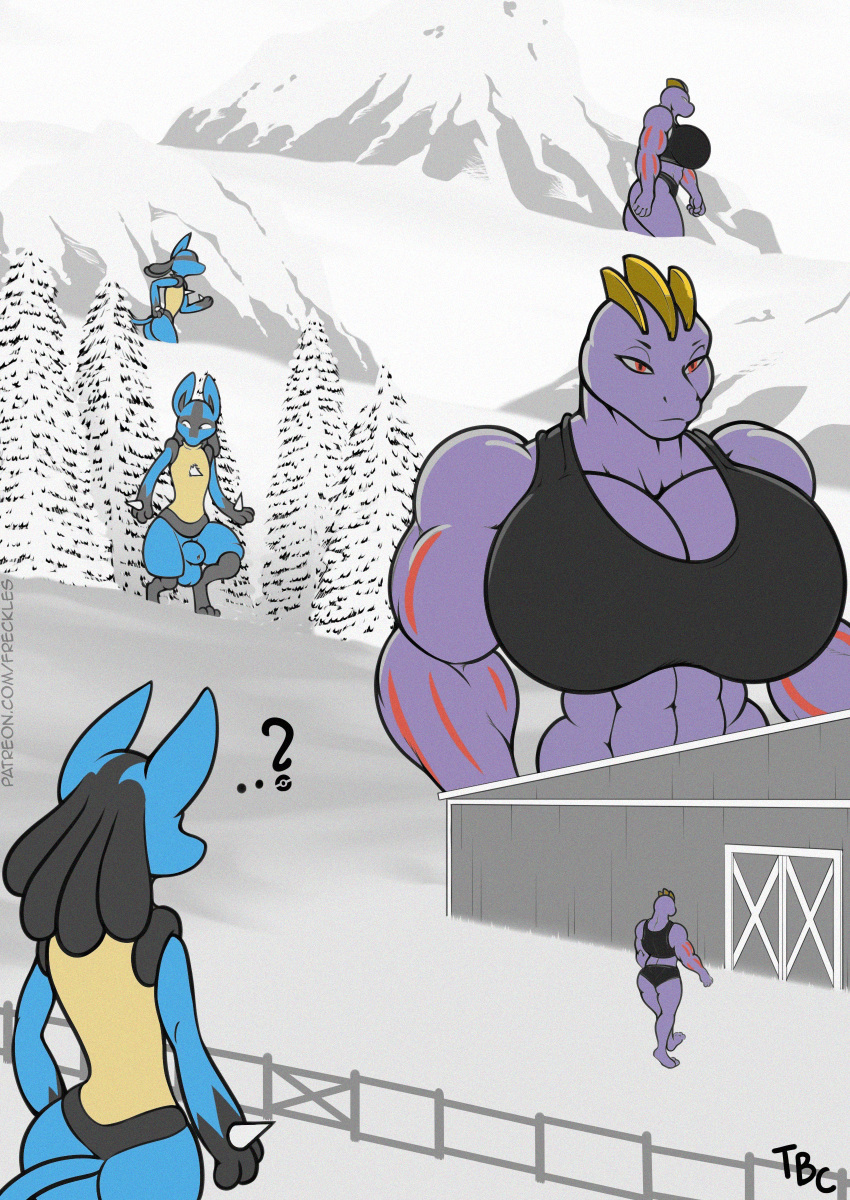 absurd_res animal_genitalia animal_humanoid animal_penis anthro balls big_breasts bra breasts canid canine canine_genitalia canine_penis clothing duo female female_machoke freckles_(artist) generation_1_pokemon generation_4_pokemon genitals hi_res humanoid larger_female lucario machoke male mammal muscular muscular_female nintendo penis pokemon pokemon_(species) size_difference thick_thighs underwear