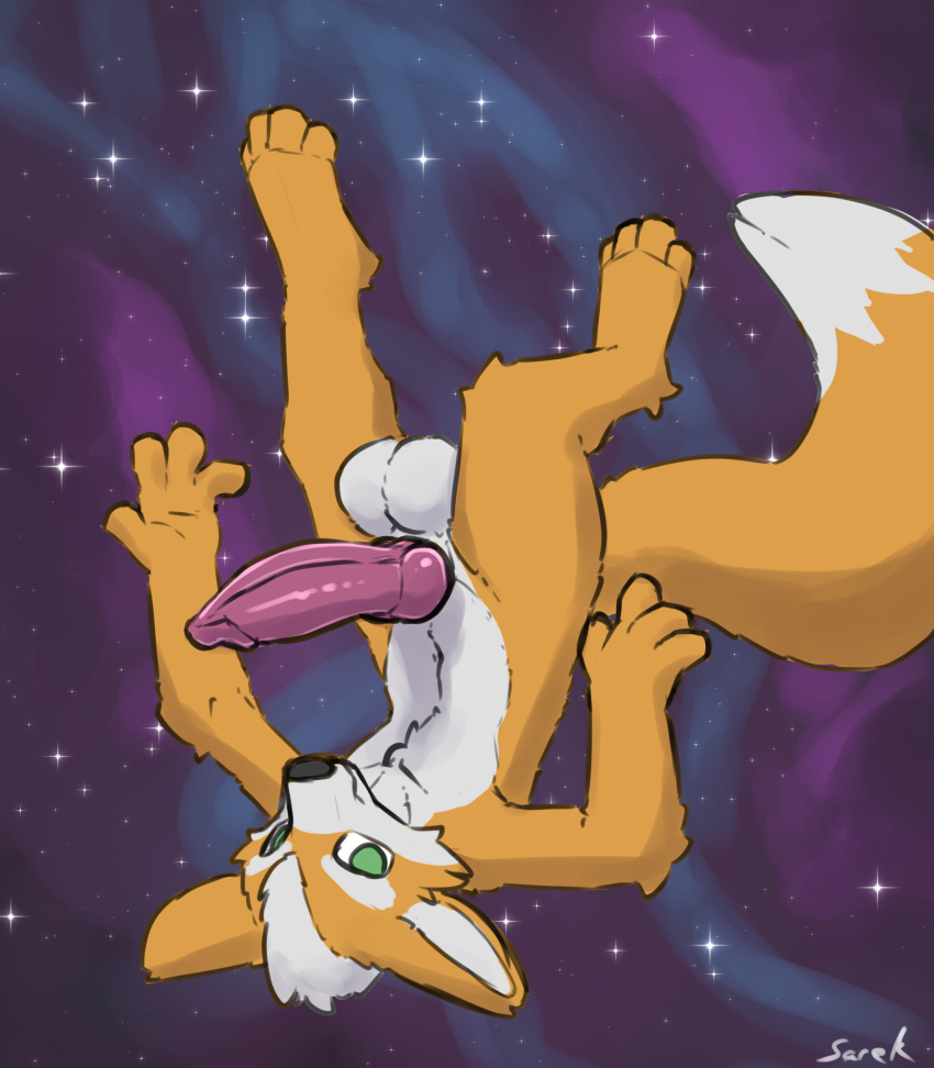 absurd_res anthro balls canid canine fox fox_mccloud furry genitals hi_res knot mammal nintendo penis sarek_aran_desian star_fox zero_gravity