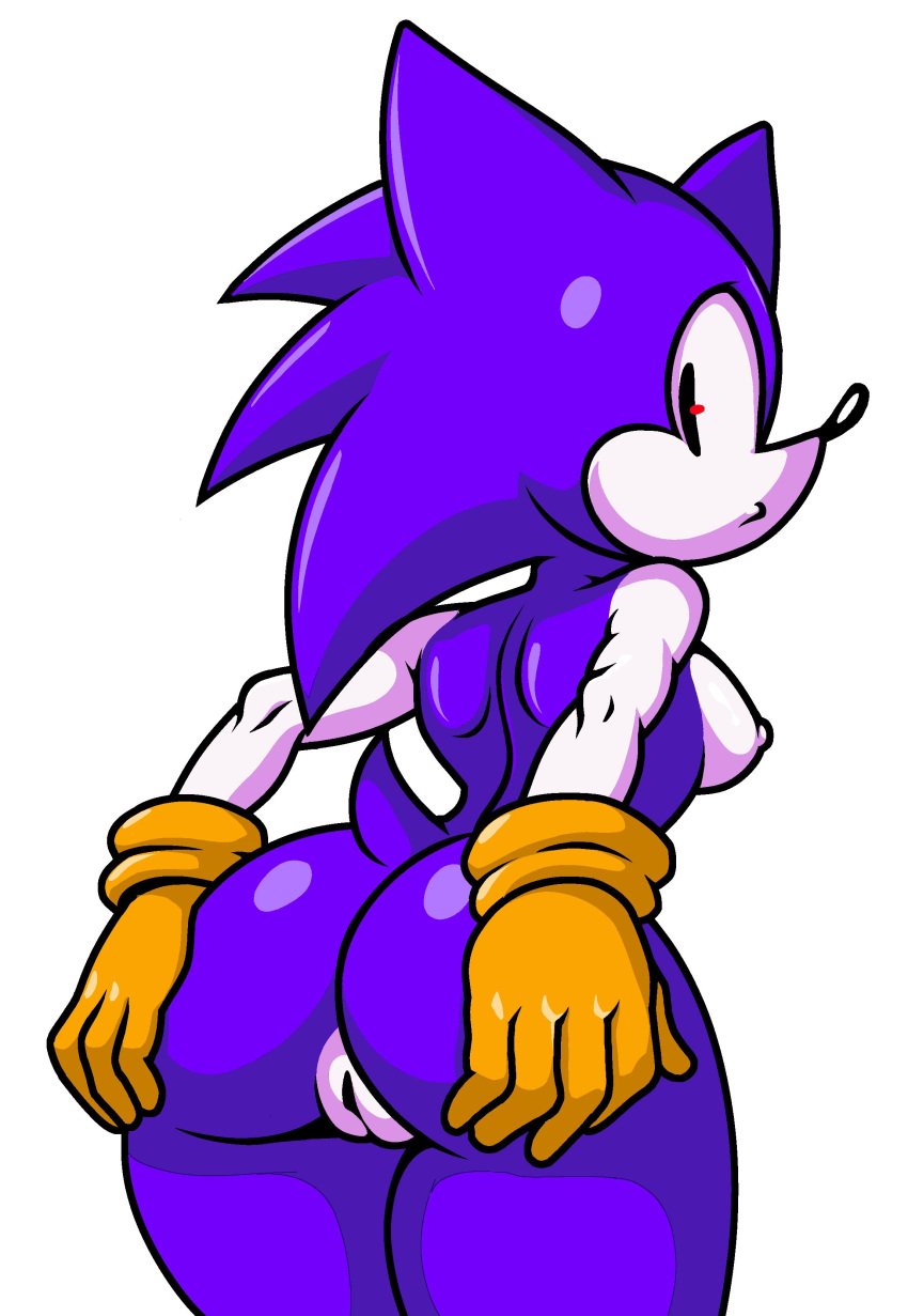 0x1g3n ass ass_focus breasts female furry hedgehog hedgehog_ears hedgehog_girl hedgehog_humanoid hedgehog_tail needlemouse needlemouse_(character) needlemouse_(series) nipples purple_fur pussy sarah_henderson_(needlemouse) simple_background sonic.exe_(series) tagme white_background white_skin yellow_gloves