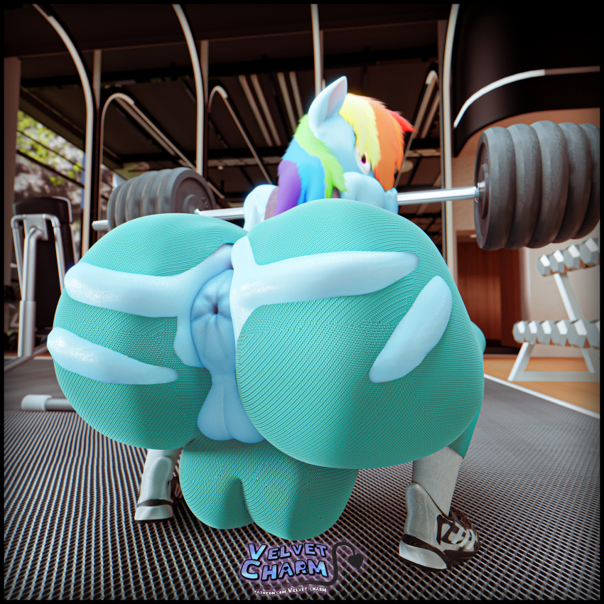 3d 3d_(artwork) anthro blender_(software) blender_cycles exposed_ass exposed_butt exposed_pussy gym gym_clothes looking_back_at_viewer my_little_pony my_little_pony_friendship_is_magic partial_nudity rainbow_dash_(mlp) shocked_expression velvet_charm wardrobe_malfunction weightlifting