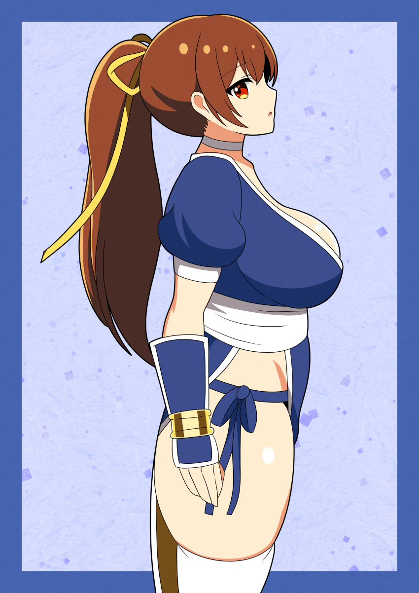 breasts dead_or_alive female gians_noby kasumi_(doa) large_breasts long_hair looking_at_side looking_at_viewer no_bra no_panties no_underwear ponytail side_view solo tagme