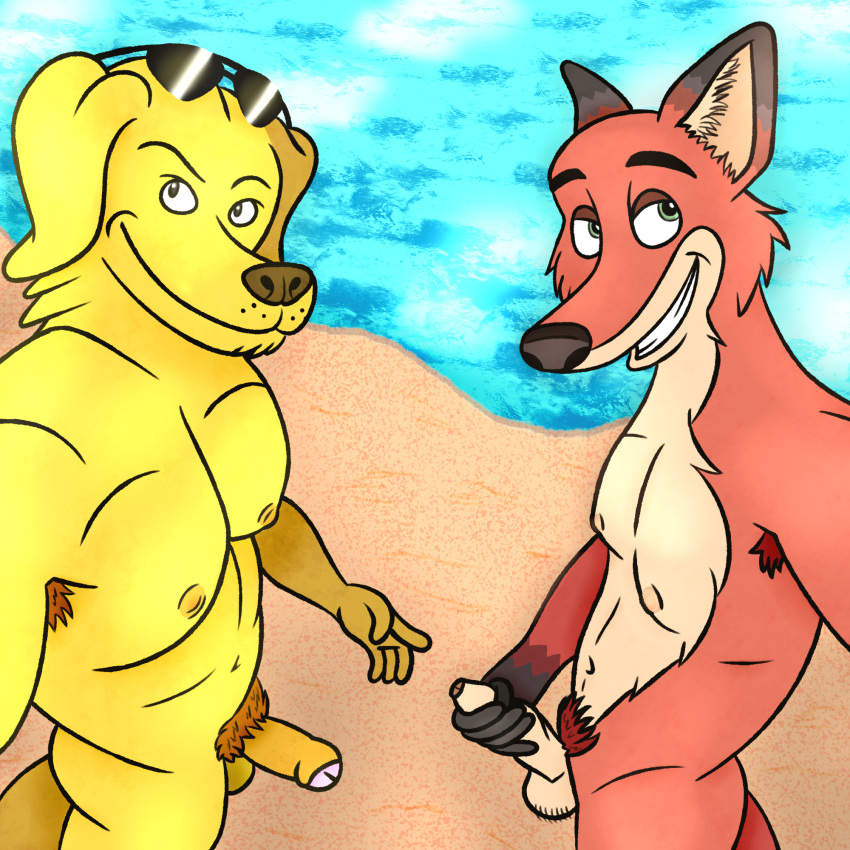 2024 anthro anthro_only armpit_hair balls beach bird_dog body_hair bojack_horseman canid canine canis disney domestic_dog duo eyebrows eyewear eyewear_on_head foreskin fox fur genitals green_eyes hairy_balls hi_res holding_penis hunting_dog labrador light male male/male male_only mammal mariojoe11 markings mr._peanutbutter multicolored_body multicolored_fur muscular muscular_male netflix nick_wilde outside penis pubes raised_eyebrow retriever sand sea seaside selfie slim smile smiling_at_viewer smirk smirking_at_viewer sunglasses sunglasses_on_head sunlight thick_eyebrows water zootopia