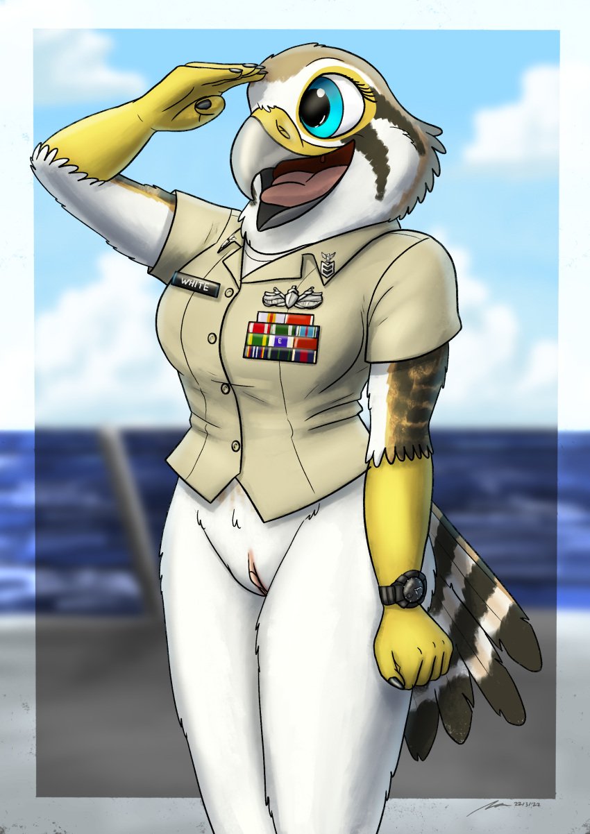 2020s 2022 absurd_res anthro avian badge bird bottomless bottomless_female clitoris clock clothed clothing evy_(fish_birb) falcon falconid female fish_birb front_view furry genitals gesture hi_res kestrel military military_clothing military_uniform navy no_underwear partially_clothed pussy ribbons salute sea ship slim solo u.s._navy uniform vehicle watch water watercraft