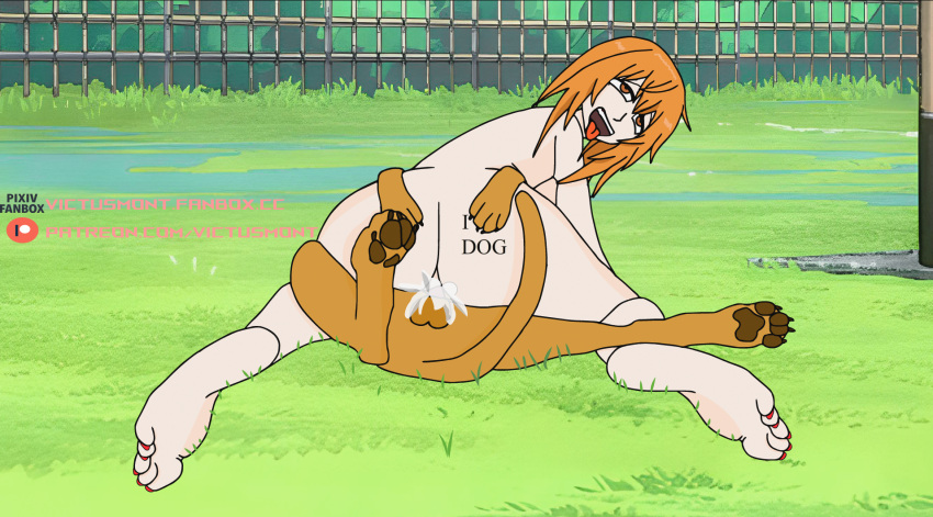 ahe_gao backsack barefoot canine canine_penis cowgirl_position cum_in_pussy cum_inside female female_on_feral gamo-chan grass heart_tattoo knotted_penis light-skinned_female looking_back looking_pleasured nude orange_eyes orange_hair orgasm outside park please_don't_bully_me,_nagatoro public_sex riding sex sideboob size_difference smiling teeth_showing toenail_polish victusmont zoophilia