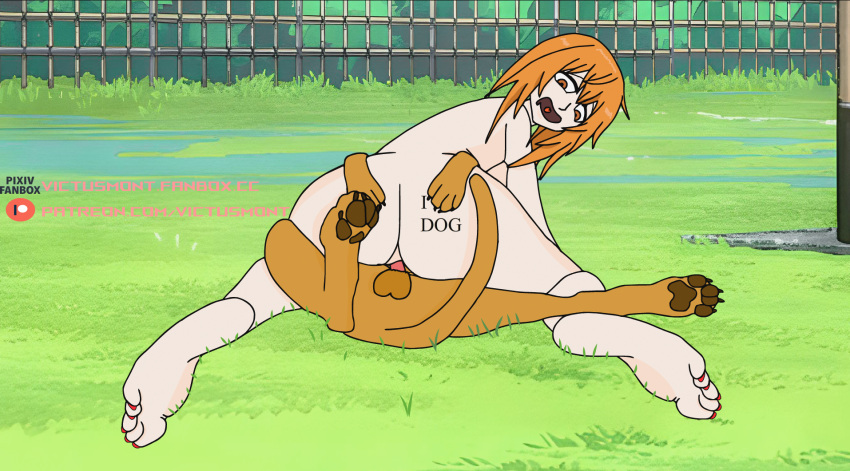 backsack barefoot canine canine_penis cowgirl_position female female_on_feral gamo-chan grass heart_tattoo knotted_penis light-skinned_female looking_back looking_pleasured nude orange_eyes orange_hair outside park please_don't_bully_me,_nagatoro public_sex riding sex sideboob size_difference smiling teeth_showing toenail_polish victusmont zoophilia