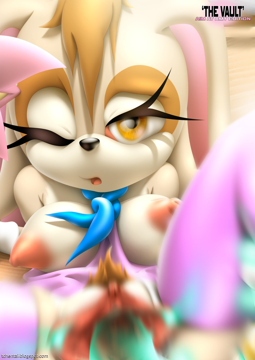 breasts_out sonic_(series) sonic_the_hedgehog_(series) tcprod vanilla_the_rabbit