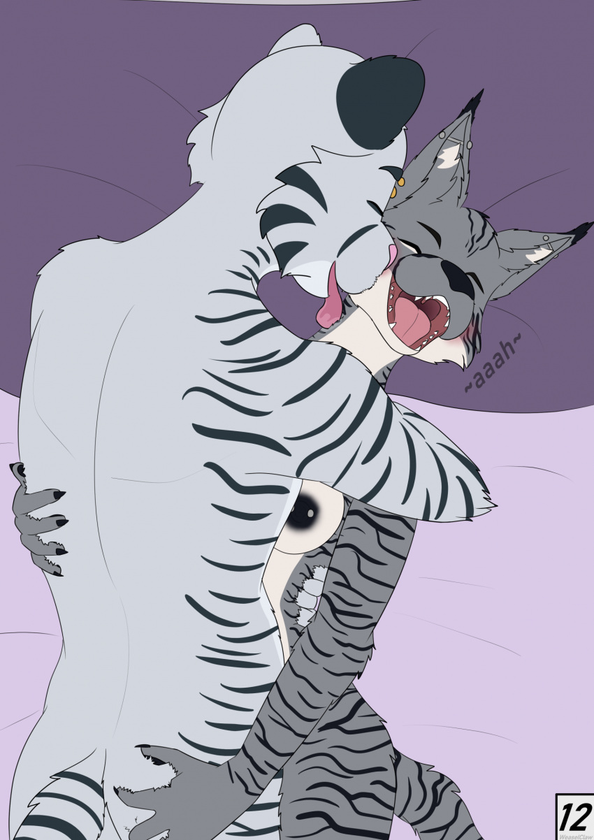 anthro comic duo felid feline female hi_res licking luka_(weaselclaw) lynx male male/female mammal neck_lick nipple_piercing nipples open_mouth orgasm orgasm_face pantherine piercing sex striped_body stripes tiger tongue weaselclaw