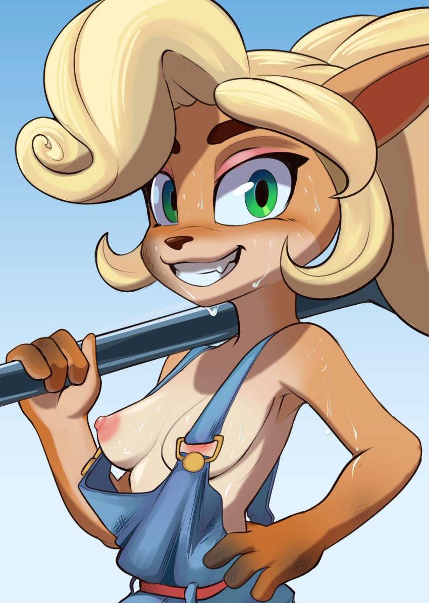 1girls activision anthro blazera blonde_hair casual coco_bandicoot crash_(series) cute female female_only green_eyes holding_object long_hair looking_at_viewer microsoft nipples orange_fur outerwear overalls overalls_only pink_nipples small_breasts smile smiling smiling_at_viewer sweat sweatdrop sweating tied_hair weapon wrench