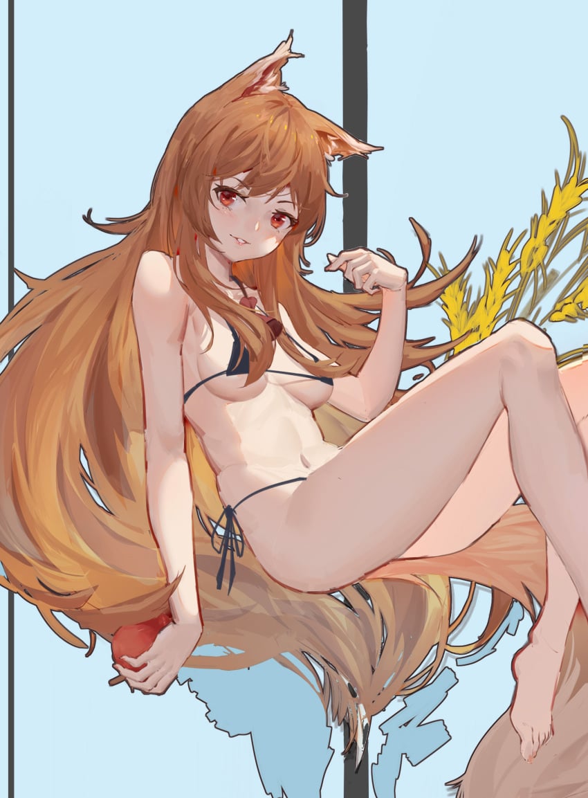 1girls animal_ears apple bikini black_bikini brown_eyes brown_hair female female_only holo j.xh kemonomimi long_hair medium_breasts red_eyes side-tie_bikini smile solo spice_and_wolf swimsuit tail underboob very_long_hair wolf_ears wolf_girl wolf_tail