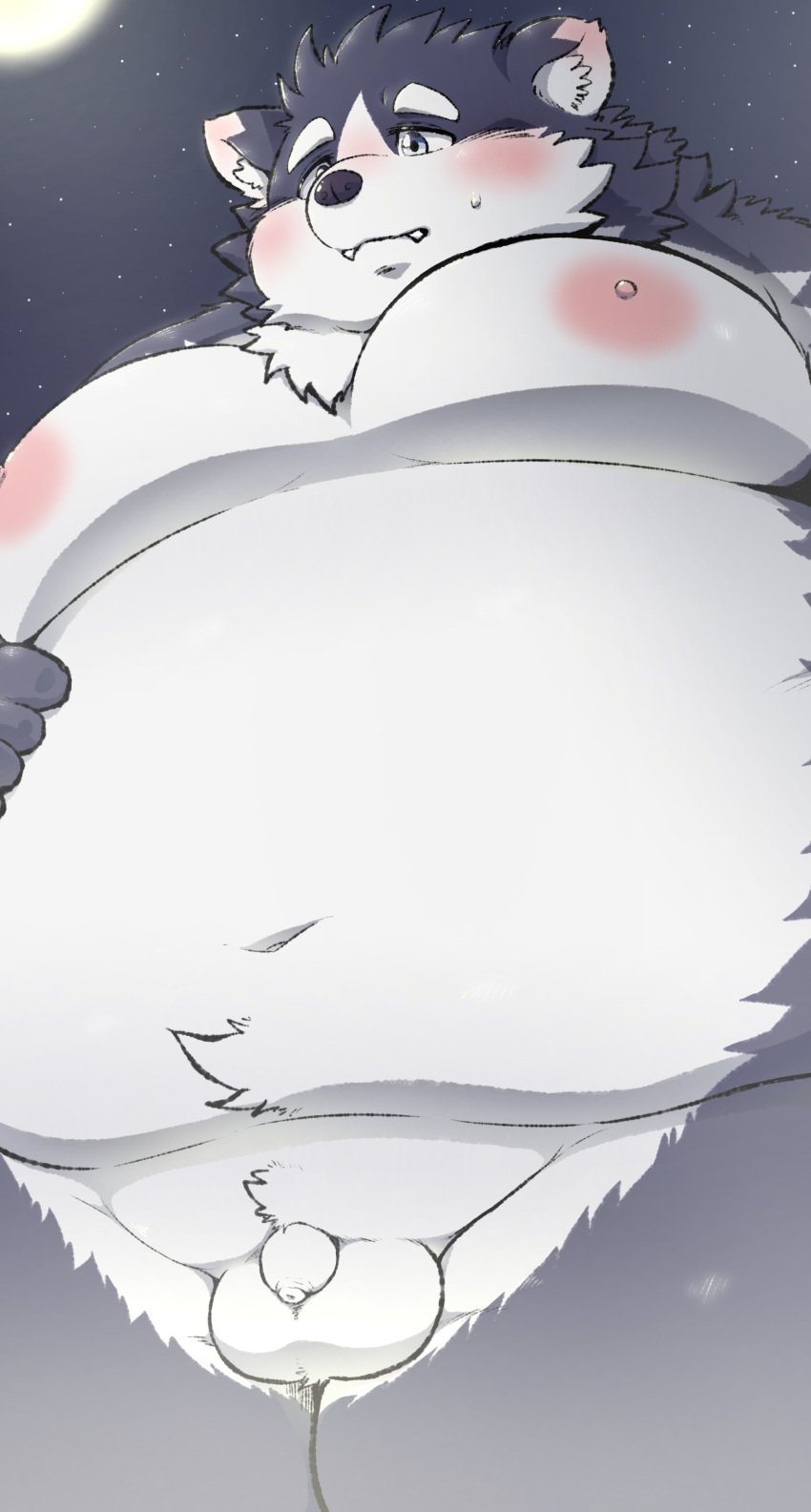 absurd_res anthro belly blue_eyes canid canine canis domestic_dog eyebrows flaccid foreskin fupa fur genitals grey_body grey_fur harima hi_res male male_only mammal moobs namabito navel nipples nude overweight penis small_penis solo tamacolle thick_eyebrows