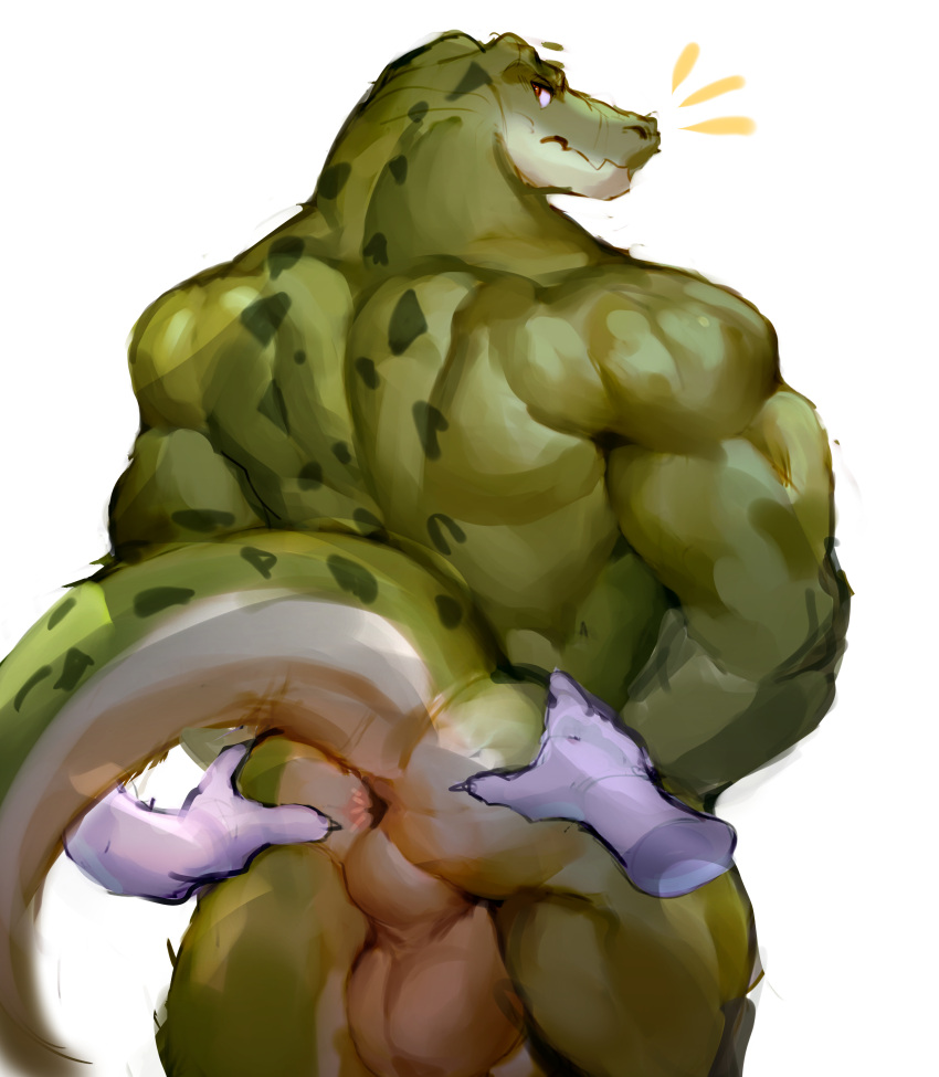 2022 absurd_res anthro anus ass balls big_muscles crocodilian disembodied_hand duo genitals green_body green_scales hi_res looking_back male multicolored_body multicolored_scales muscular muscular_anthro muscular_male nude perineum presenting presenting_hindquarters rear_view reolixious reptile scales scalie simple_background solo_focus standing tail_aside two_tone_body two_tone_scales white_background white_body white_scales