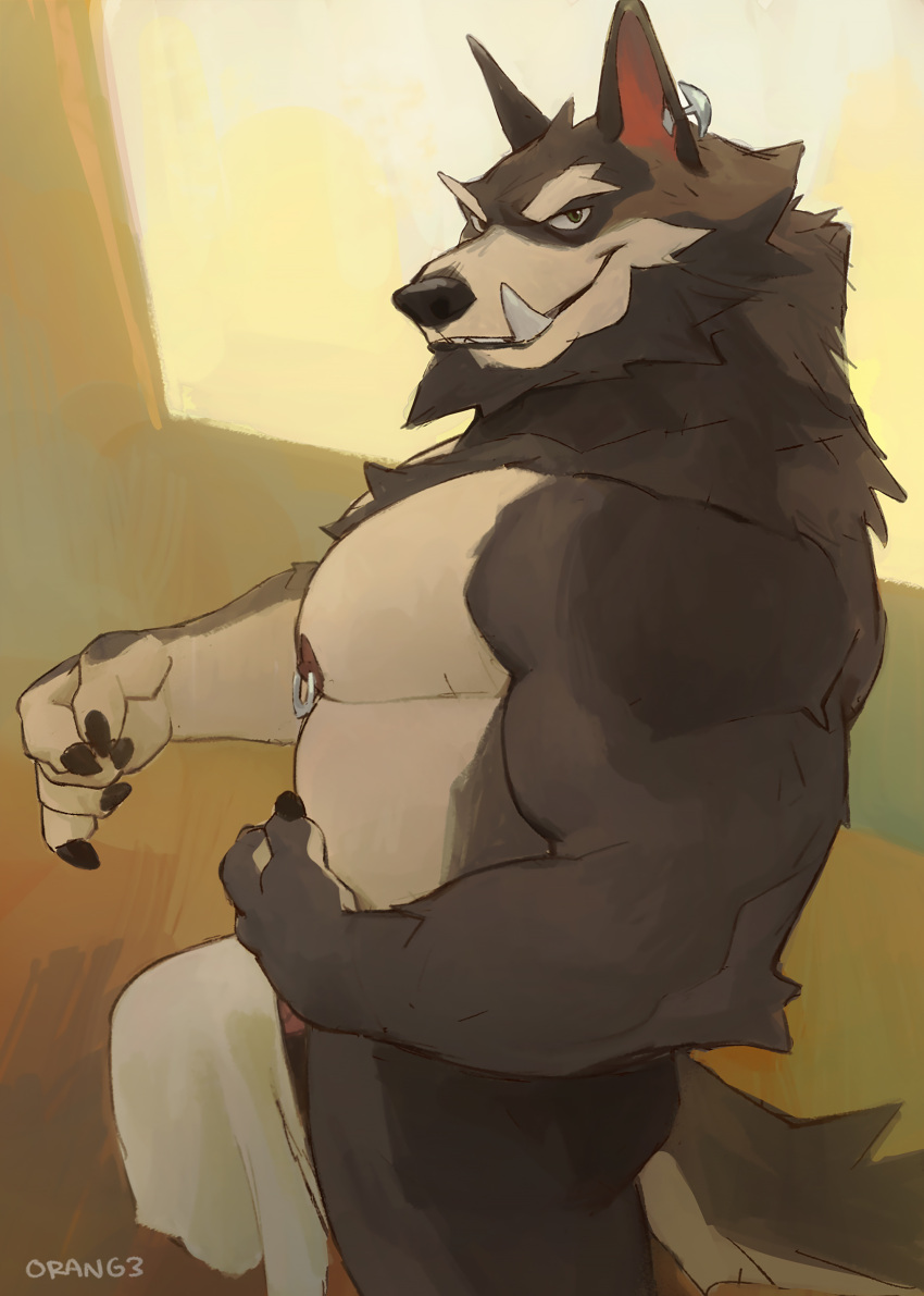 0rang3 absurd_res anthro biceps canid canine canis clothed clothing ear_piercing erection erection_under_clothing fangs genitals hi_res looking_at_viewer male mammal muscular muscular_anthro muscular_male nipple_piercing nipples pecs penis piercing solo wolf