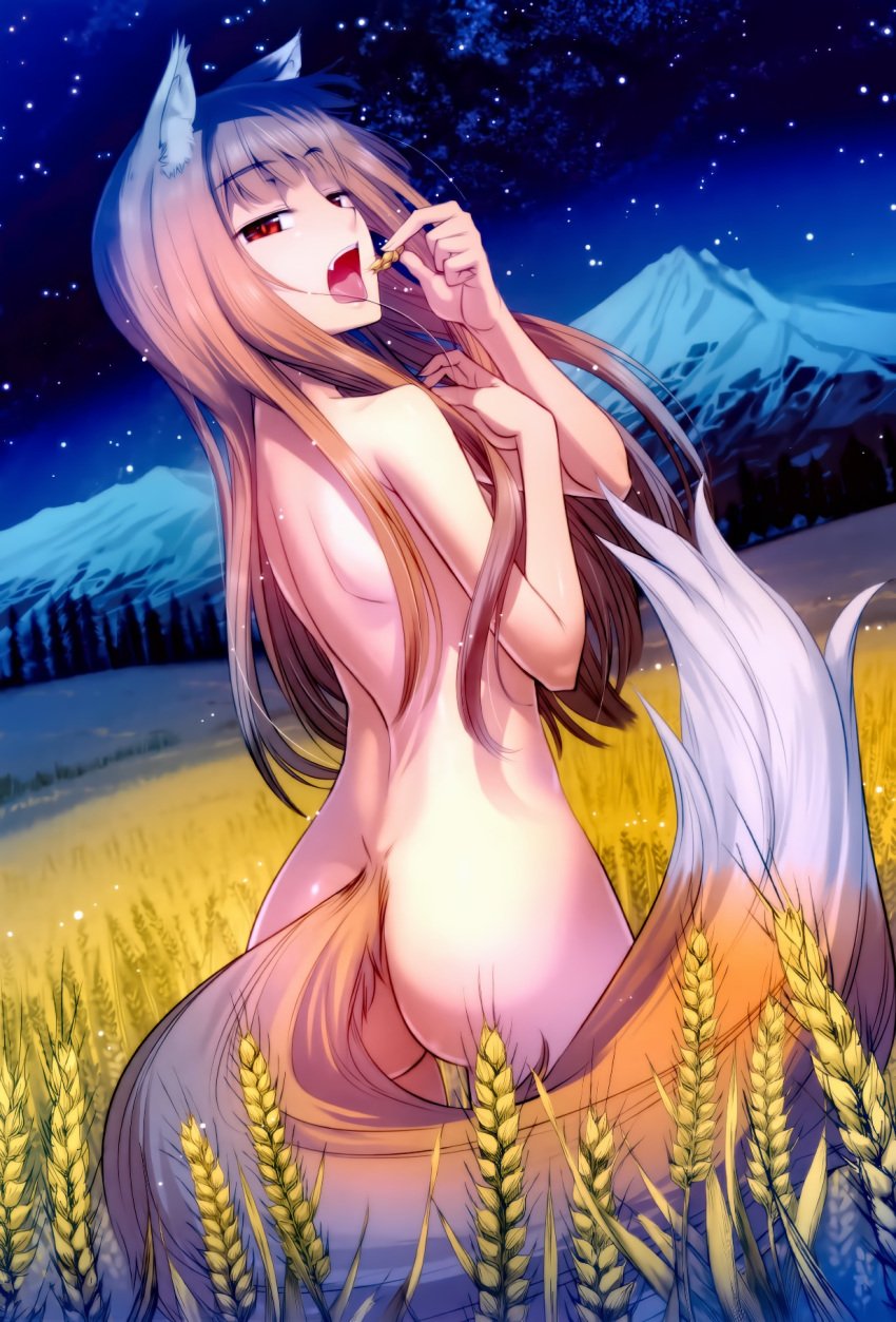 1girls animal_ears big_ass brown_hair bubble_butt completely_nude detailed_background fangs half-closed_eyes holo inner_ear_fluff kemonomimi koume_keito light_brown_hair long_hair looking_at_viewer looking_back night nude official_art open_mouth outside red_eyes solo spice_and_wolf tail wolf_ears wolf_girl wolf_tail