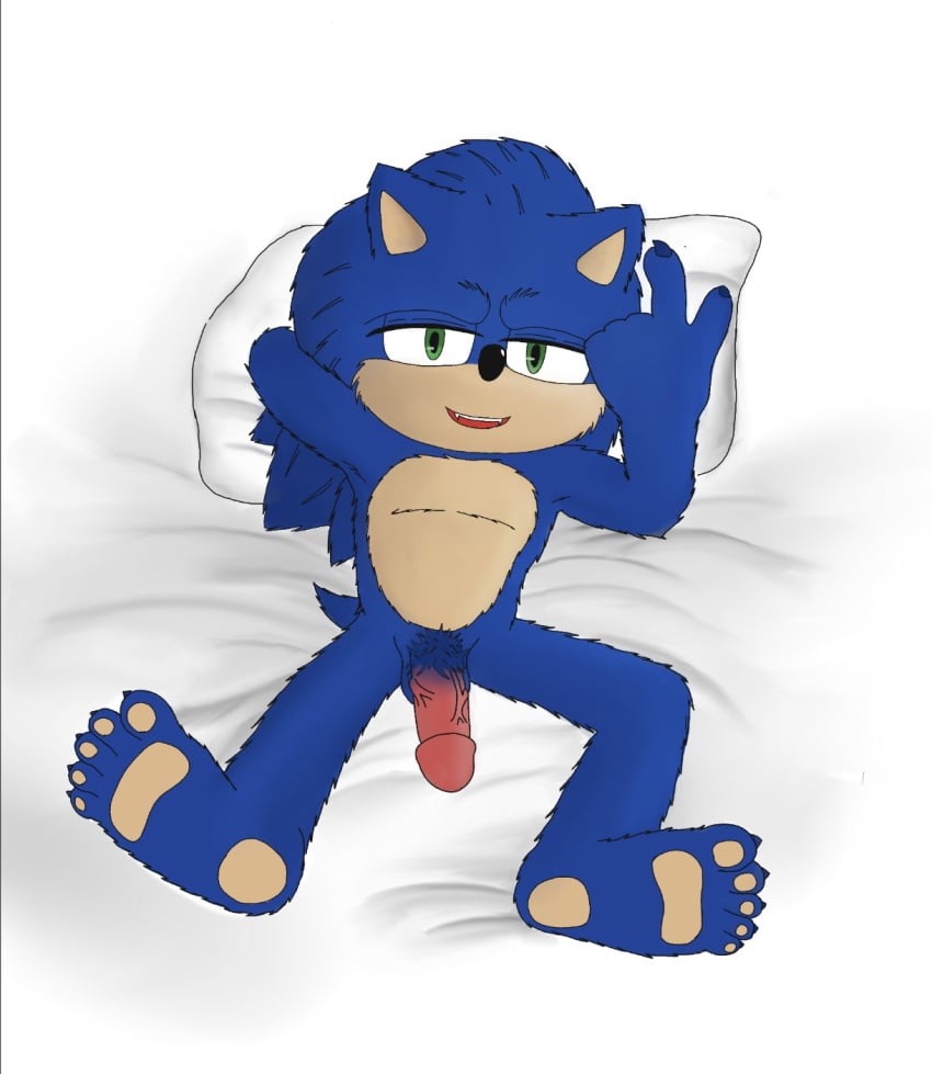 1boy anthro genitals hedgehogblue02 hi_res male male_only penis pubes sega solo sonic_(series) sonic_the_hedgehog sonic_the_hedgehog_(film) sonic_the_hedgehog_(series)