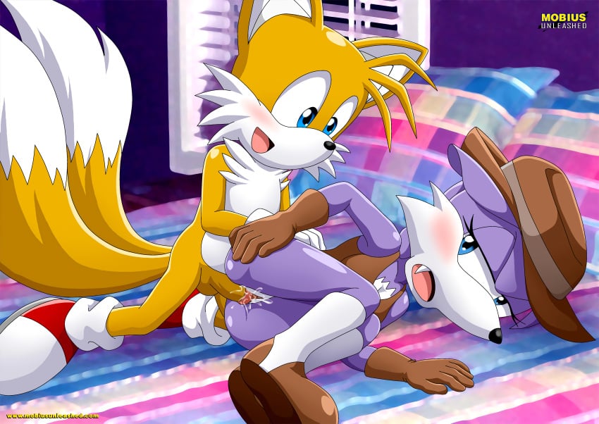 archie_comics bbmbbf furry male mobius_unleashed nicolette_the_weasel palcomix sega shoes sonic_(series) tagme tails