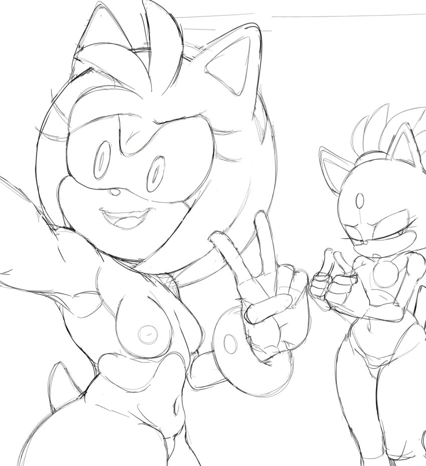 2d 2d_artwork a_name_for_me amy_rose areola areolae armpits blaze_the_cat breasts eyelashes gem_on_forehead hereapathy mobian_(species) nipples peace_sign sketch small_breasts sonic_(series) sonic_the_hedgehog_(series) thick_ass thick_thighs thighhighs wip