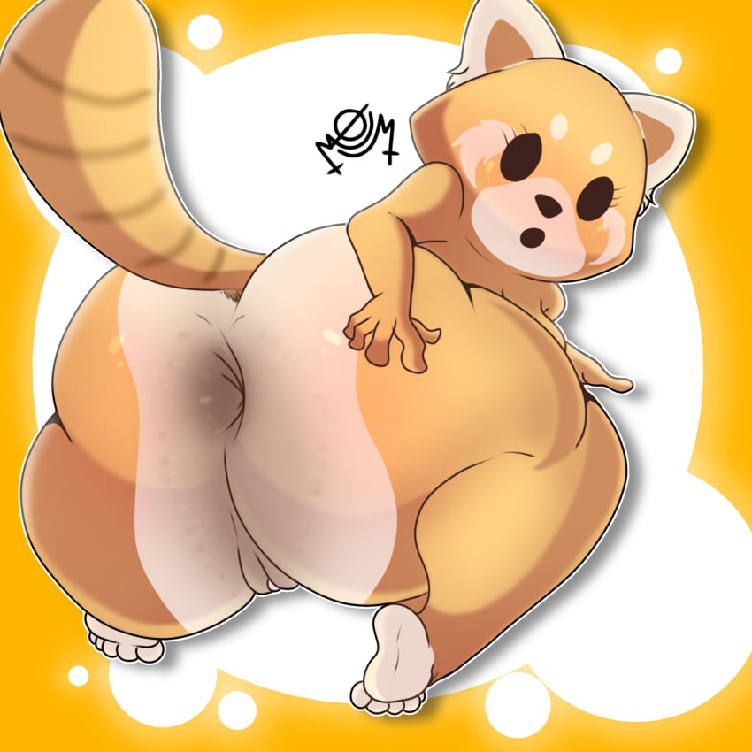 aggressive_retsuko aggretsuko anus anus_focus anus_peek asshole asshole_hair big_anus big_ass big_butt big_thighs female female_focus female_only fur furry furry_ass furry_ears furry_female furry_only furry_tail momempleisnsfw netflix orange_background orange_body orange_fur orange_hair pussy pussy_lips pussy_peek red_panda retsuko sanrio shorts shortstack vagina vaginal_penetration white_background white_body white_fur white_hair