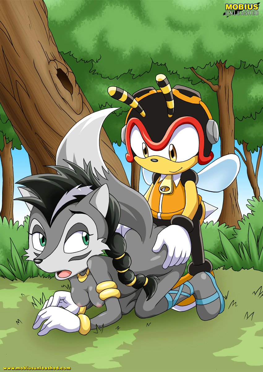 archie_comics bbmbbf charmy_bee footwear furry lupe_the_wolf male mobius_unleashed palcomix sega shoes sonic_(series) tagme