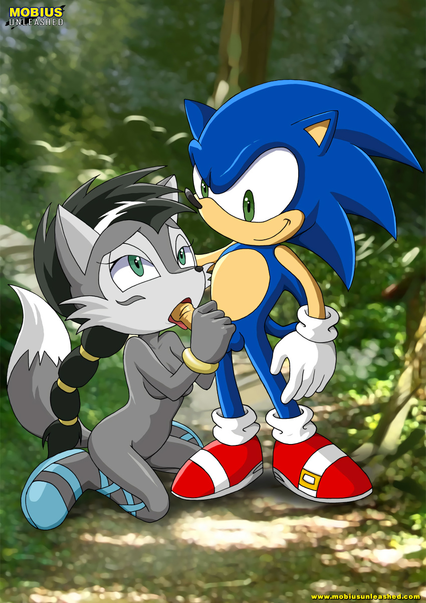 archie_comics bbmbbf footwear furry lupe_the_wolf mobius_unleashed palcomix sega shoes sonic_(series) sonic_the_hedgehog tagme